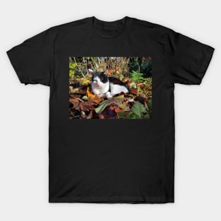 hangover in the garden T-Shirt